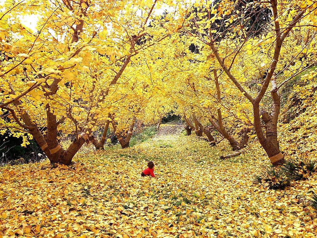 Villa Oyamanoyado Michitsuji Otoyocho Esterno foto
